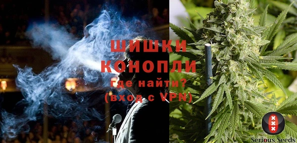 ешки Алексин
